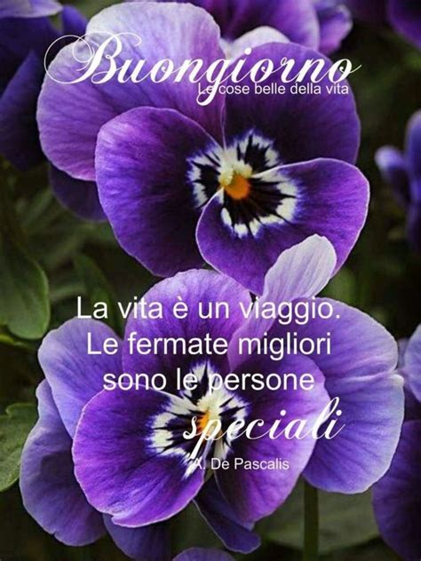 Buongiorno con i fiori bellissimi: immagini di buon。